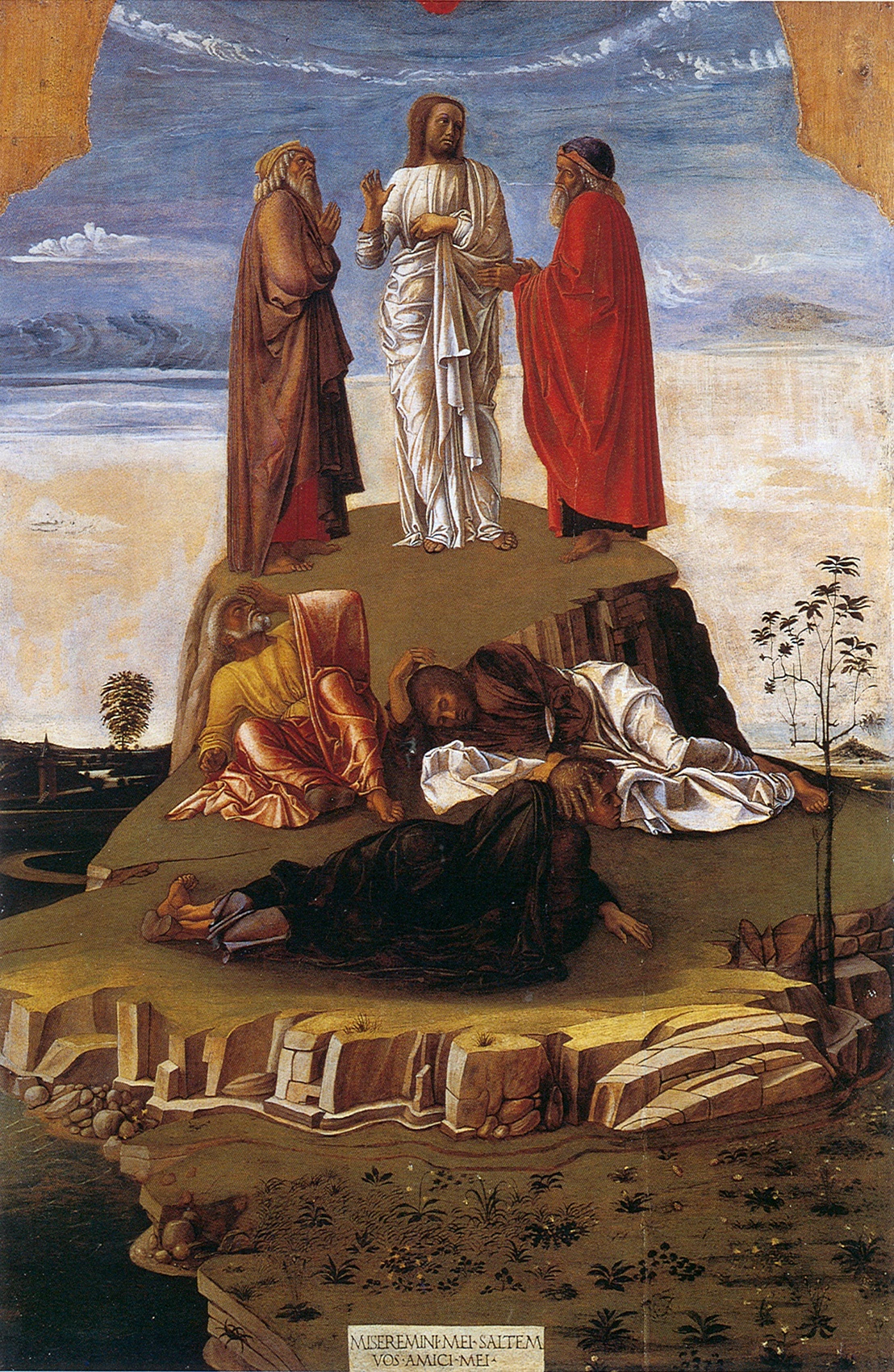 Christ Transfiguration